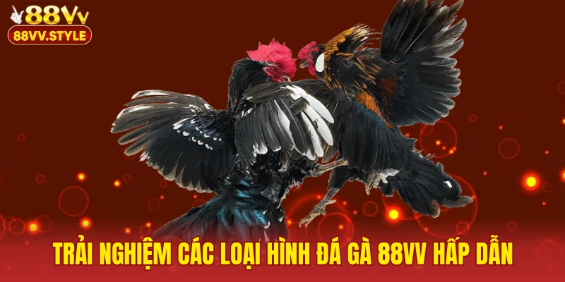 Trải nghiệm các loại hình đá gà 88vv hấp dẫn tại trang web